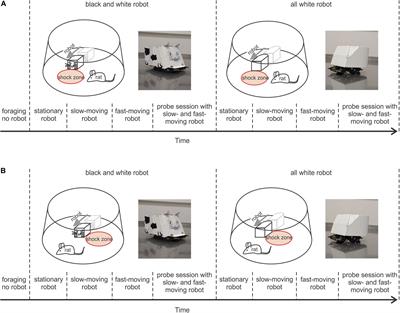 Navigation in a Space With Moving Objects: Rats Can Avoid Specific Locations Defined With Respect to a Moving Robot